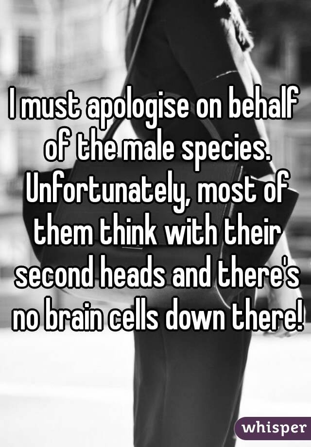 I must apologise on behalf of the male species. Unfortunately, most of them think with their second heads and there's no brain cells down there!