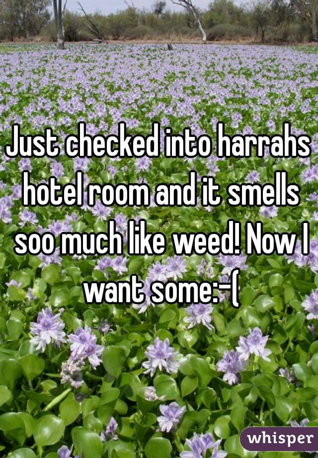 Just checked into harrahs hotel room and it smells soo much like weed! Now I want some:-(