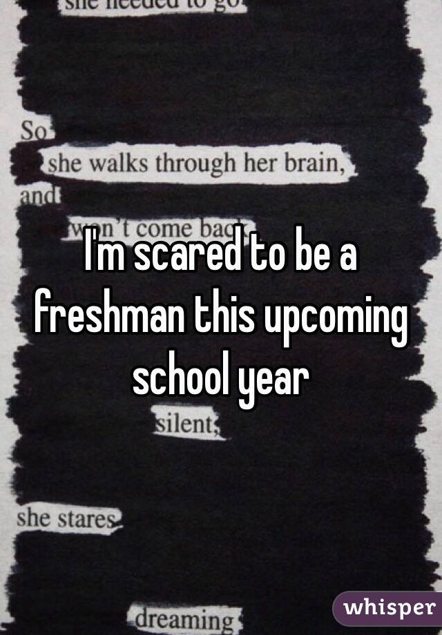 I'm scared to be a freshman this upcoming school year 