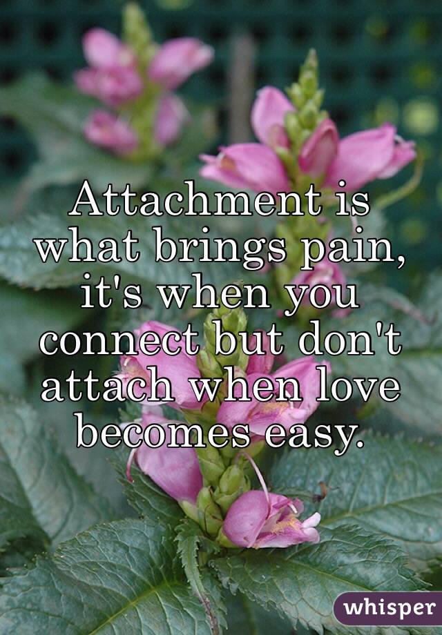 Attachment is what brings pain, it's when you connect but don't attach when love becomes easy. 