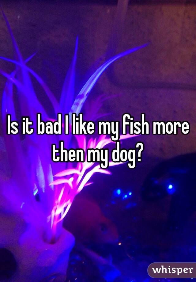 Is it bad I like my fish more then my dog?