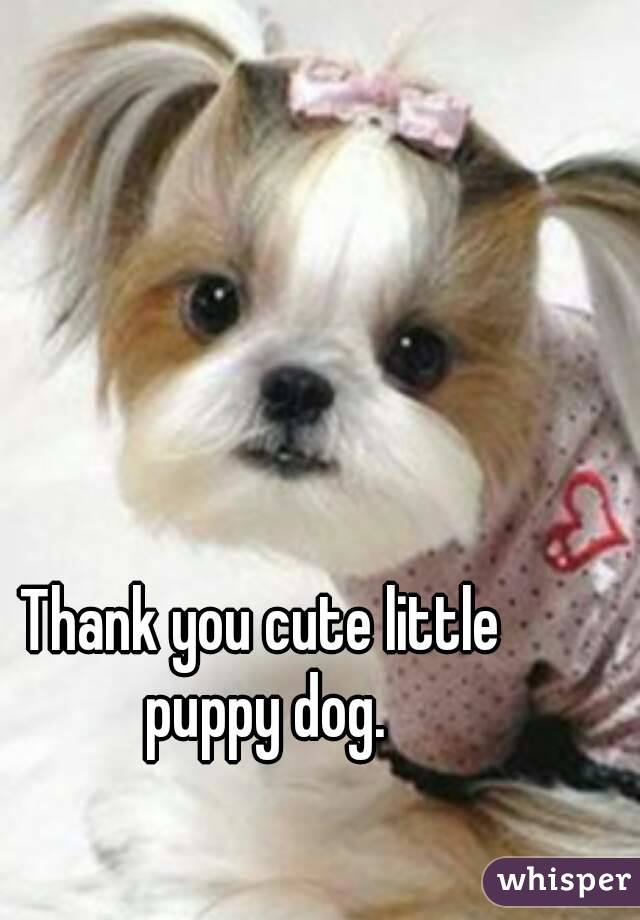 Thank you cute little puppy dog.