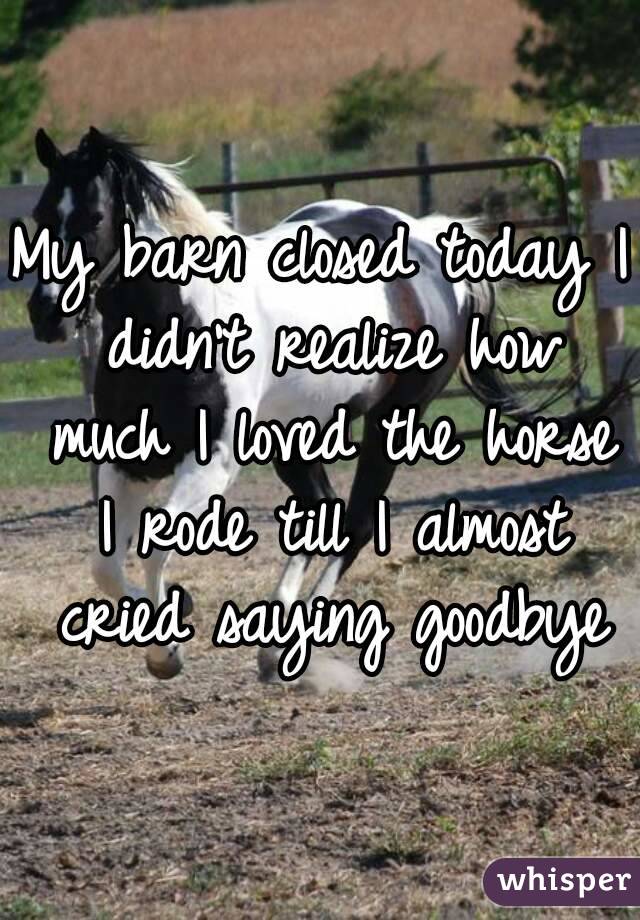 My barn closed today I didn't realize how much I loved the horse I rode till I almost cried saying goodbye
