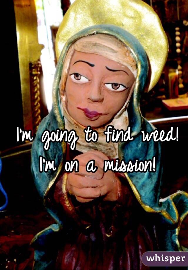 I'm going to find weed! I'm on a mission!