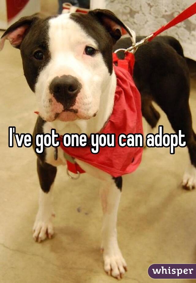 I've got one you can adopt