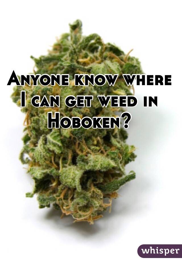 Anyone know where I can get weed in Hoboken?