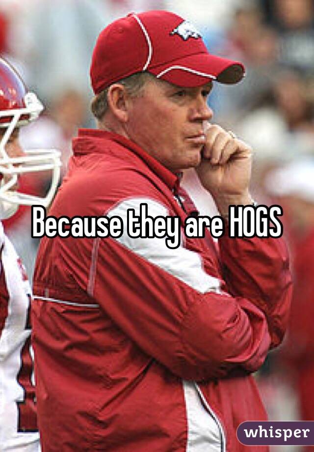 Because they are HOGS