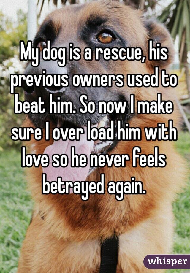 My dog is a rescue, his previous owners used to beat him. So now I make sure I over load him with love so he never feels betrayed again. 