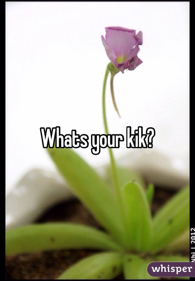 Whats your kik?
