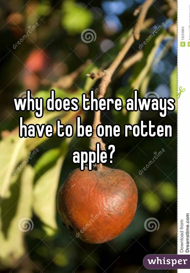 why does there always have to be one rotten apple? 