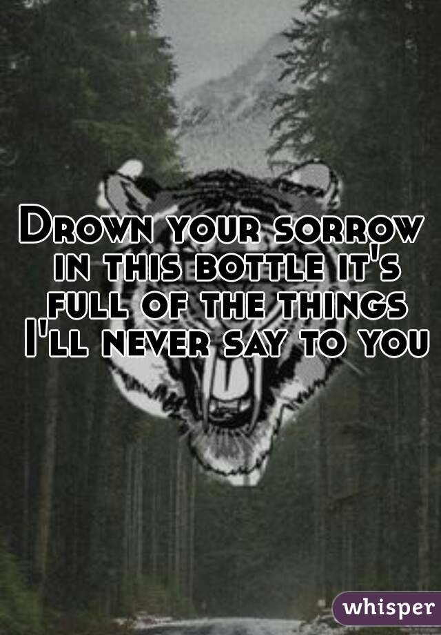 Drown your sorrow in this bottle it's full of the things I'll never say to you 