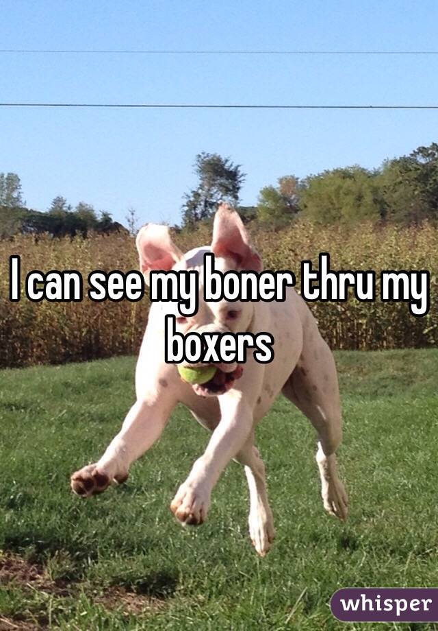 I can see my boner thru my boxers