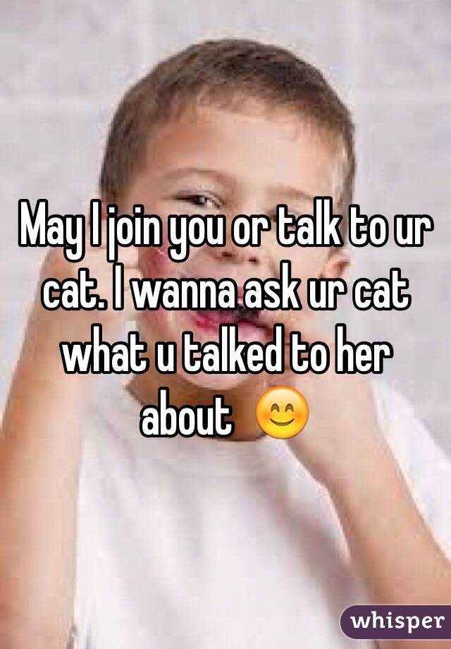May I join you or talk to ur cat. I wanna ask ur cat what u talked to her about  😊