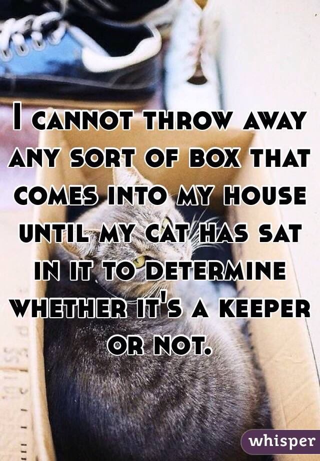 I cannot throw away any sort of box that comes into my house until my cat has sat in it to determine whether it's a keeper or not. 