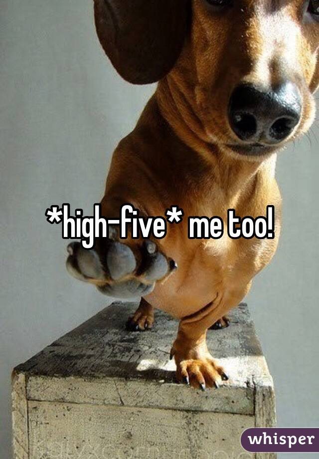 *high-five* me too!