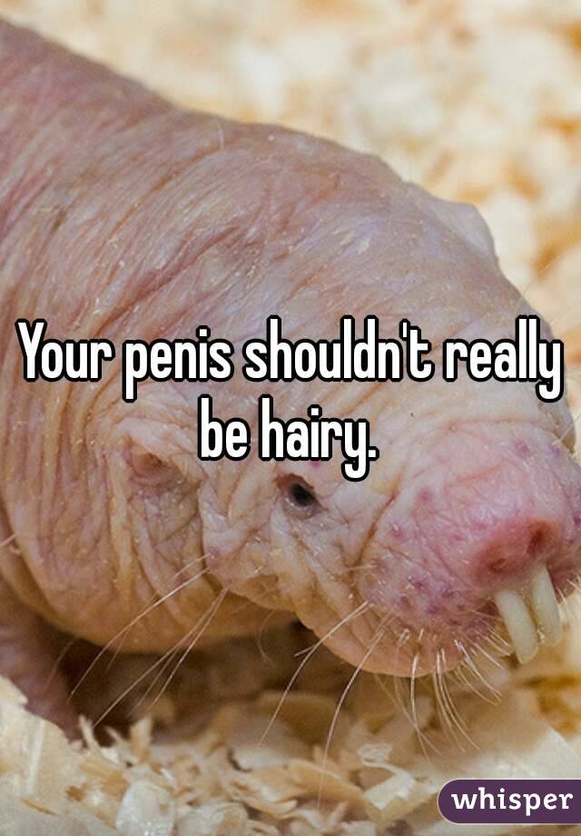 Your penis shouldn't really be hairy. 