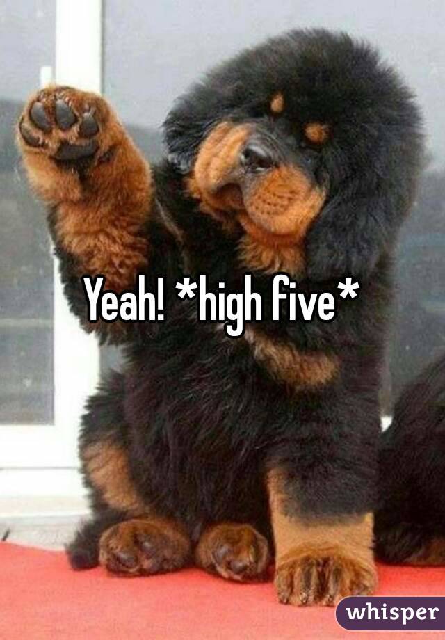 Yeah! *high five*