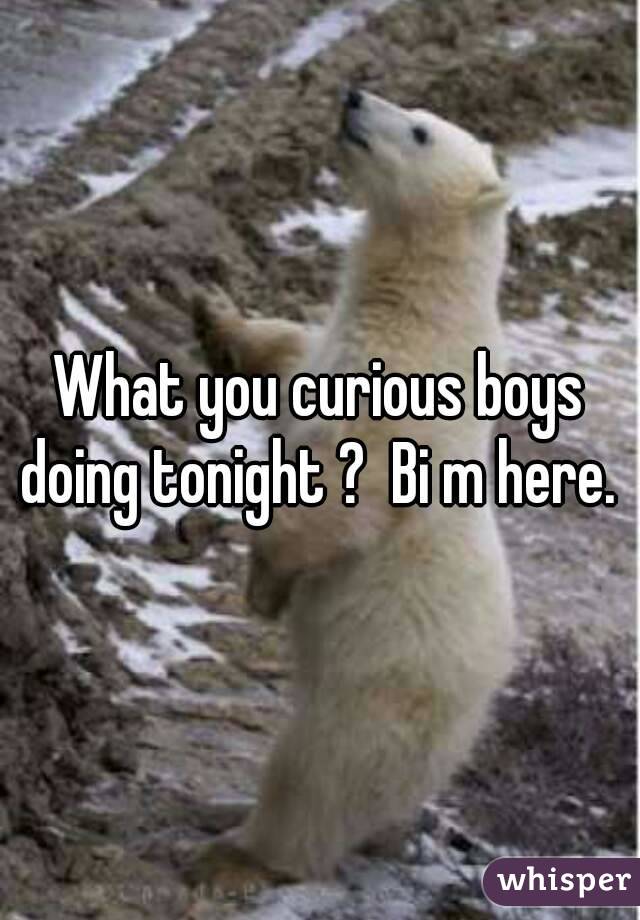 What you curious boys doing tonight ?  Bi m here. 