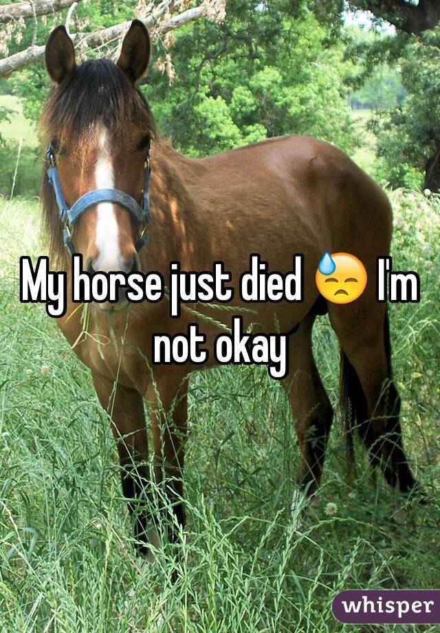 My horse just died 😓 I'm not okay