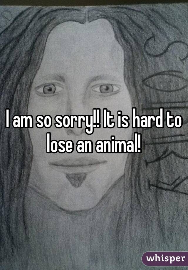 I am so sorry!! It is hard to lose an animal!