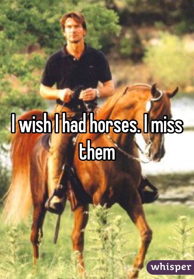 I wish I had horses. I miss them