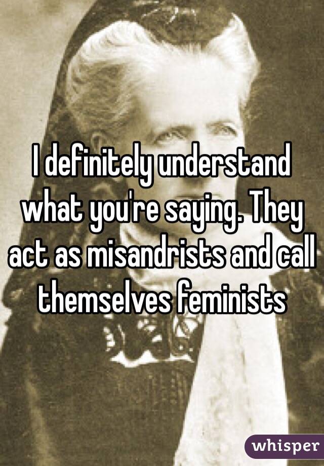 I definitely understand what you're saying. They act as misandrists and call themselves feminists 