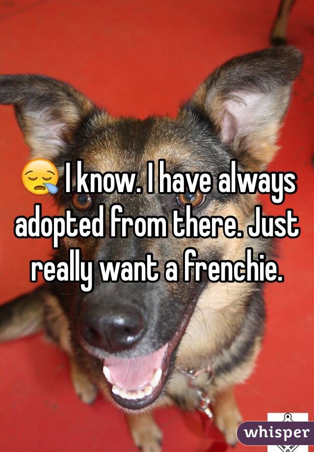 😪 I know. I have always adopted from there. Just really want a frenchie. 