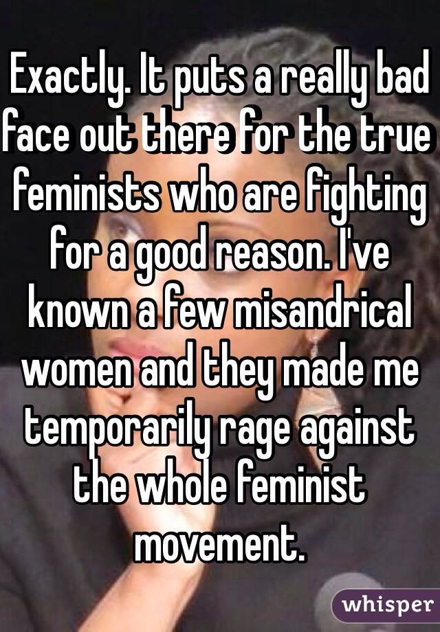 Exactly. It puts a really bad face out there for the true feminists who are fighting for a good reason. I've known a few misandrical women and they made me temporarily rage against the whole feminist movement.