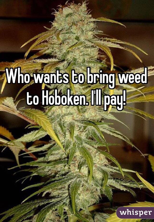 Who wants to bring weed to Hoboken. I'll pay!