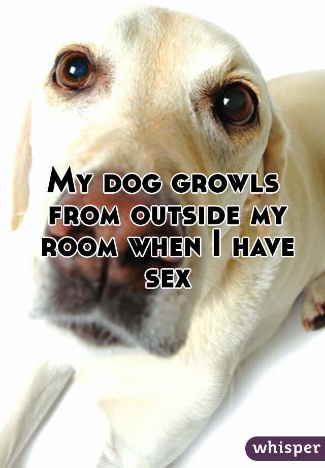 My dog growls from outside my room when I have sex