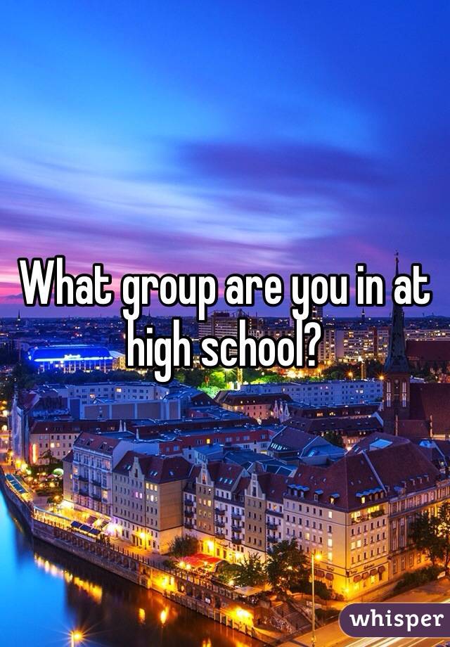 What group are you in at high school?