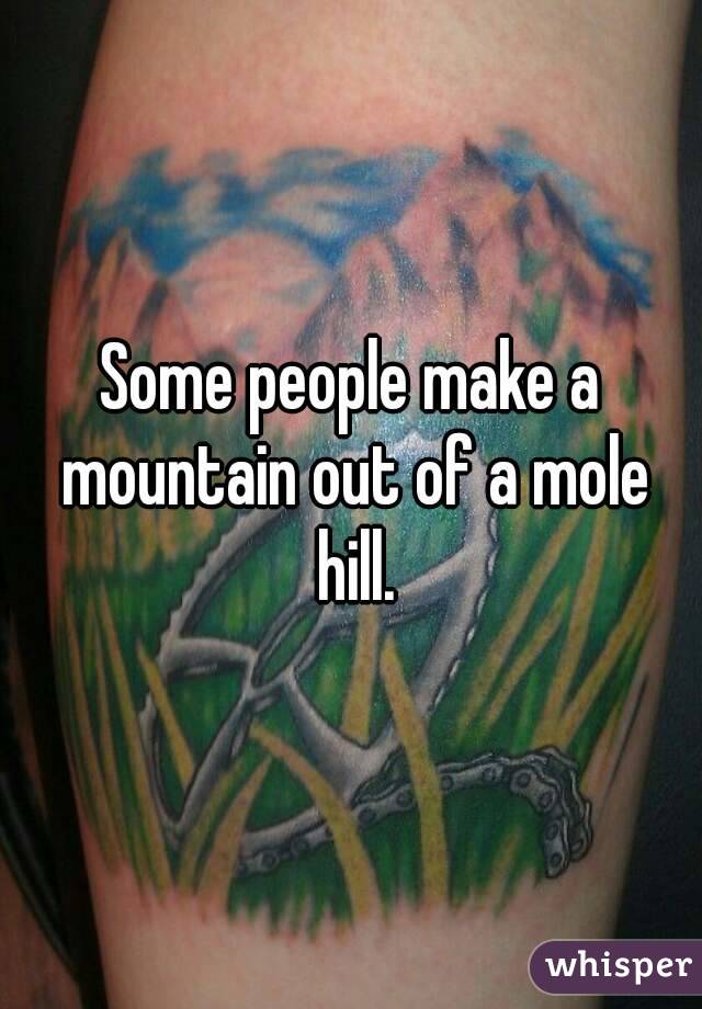 Some people make a mountain out of a mole hill.