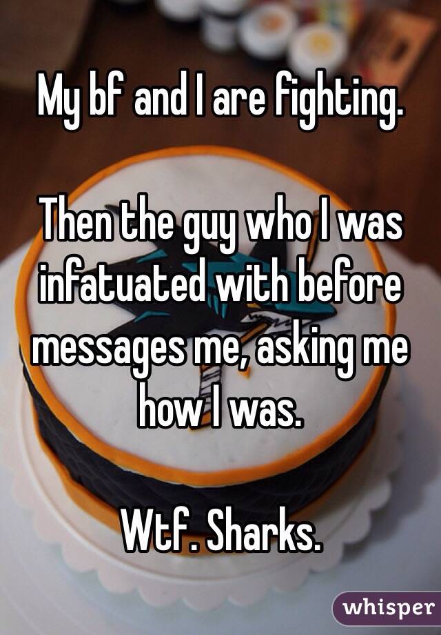 My bf and I are fighting.

Then the guy who I was infatuated with before messages me, asking me how I was.

Wtf. Sharks.