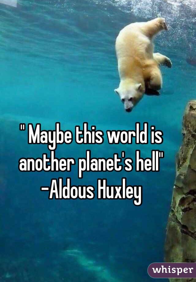 " Maybe this world is another planet's hell" 
-Aldous Huxley