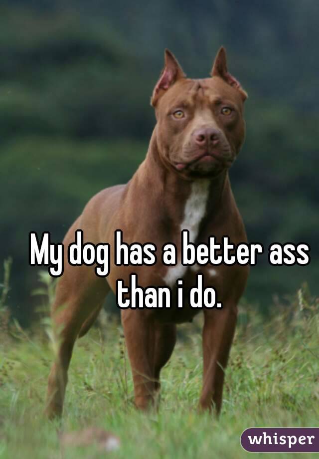 My dog has a better ass than i do. 