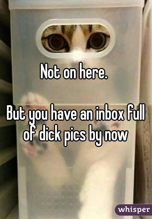 Not on here. 

But you have an inbox full of dick pics by now 