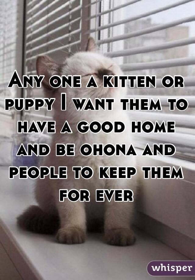 Any one a kitten or puppy I want them to have a good home and be ohona and people to keep them for ever 