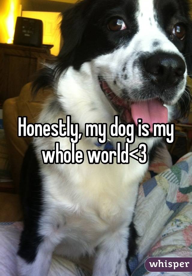 Honestly, my dog is my whole world<3 