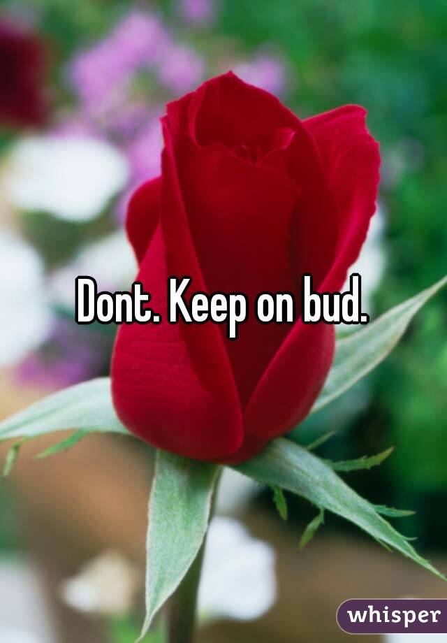 Dont. Keep on bud.