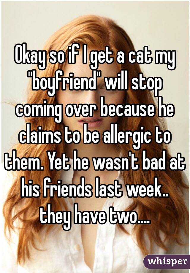 Okay so if I get a cat my "boyfriend" will stop coming over because he claims to be allergic to them. Yet he wasn't bad at his friends last week.. they have two.... 
