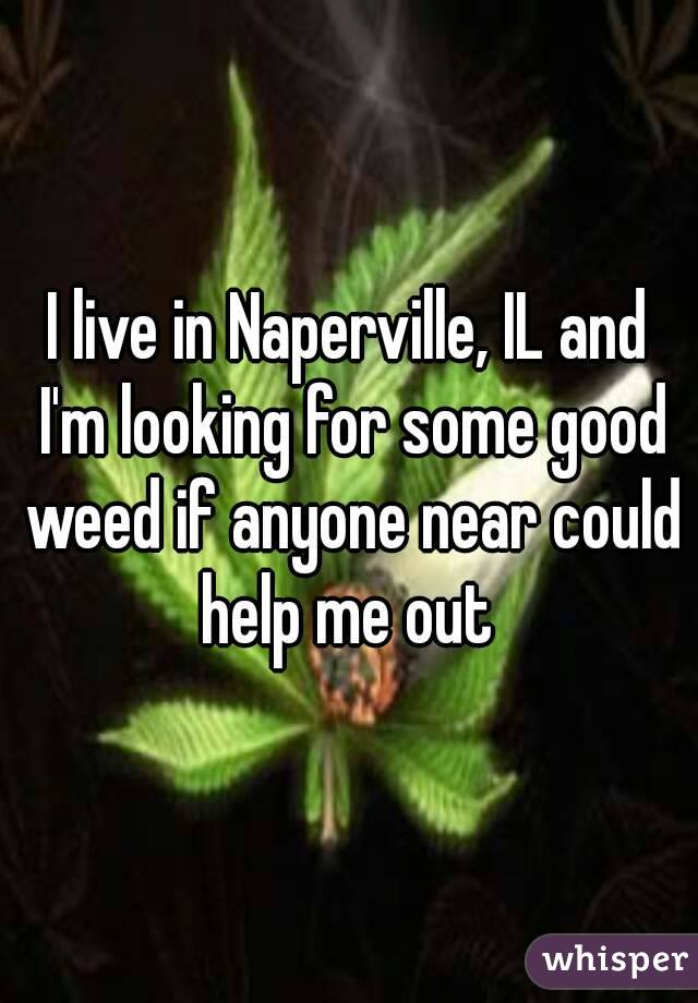 I live in Naperville, IL and I'm looking for some good weed if anyone near could help me out 