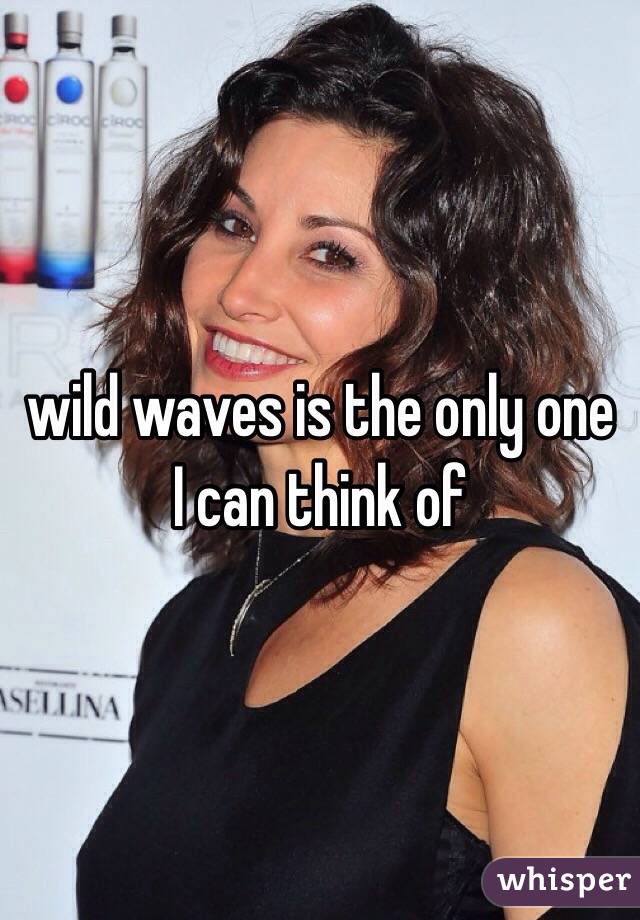 wild waves is the only one I can think of 