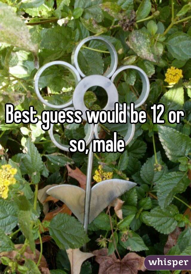 Best guess would be 12 or so, male