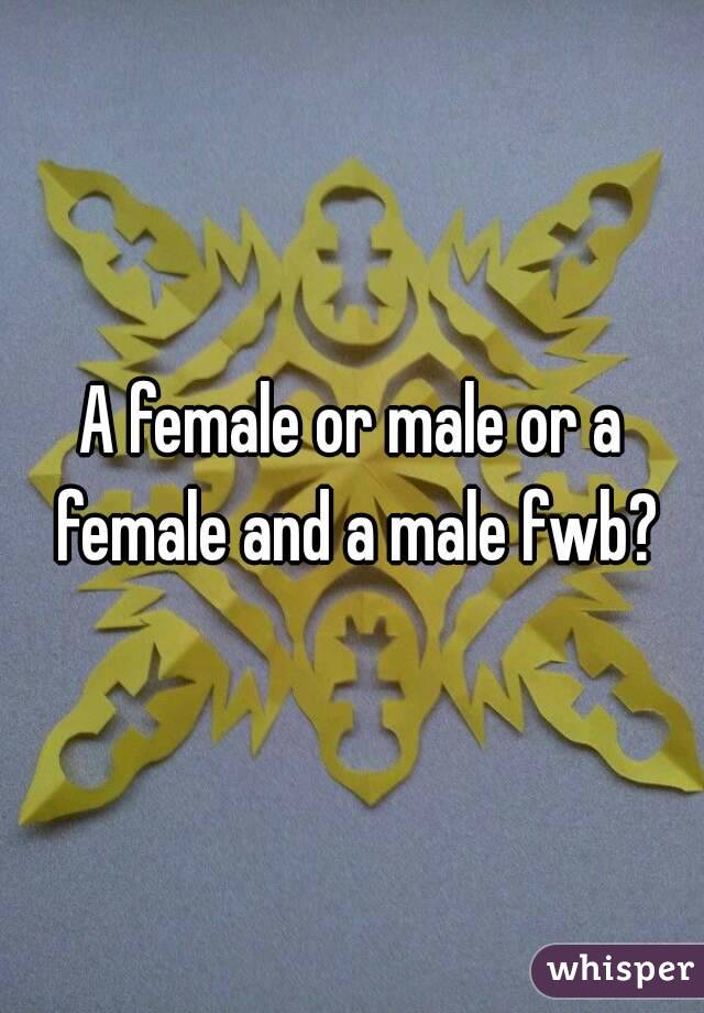 A female or male or a female and a male fwb?
