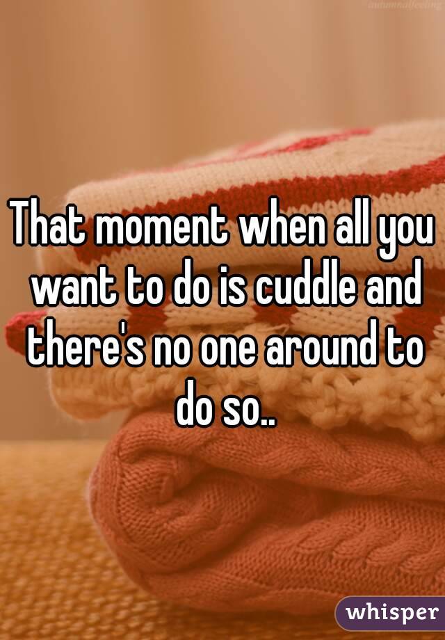 That moment when all you want to do is cuddle and there's no one around to do so..