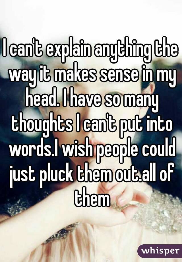 I can't explain anything the way it makes sense in my head. I have so many thoughts I can't put into words.I wish people could just pluck them out.all of them