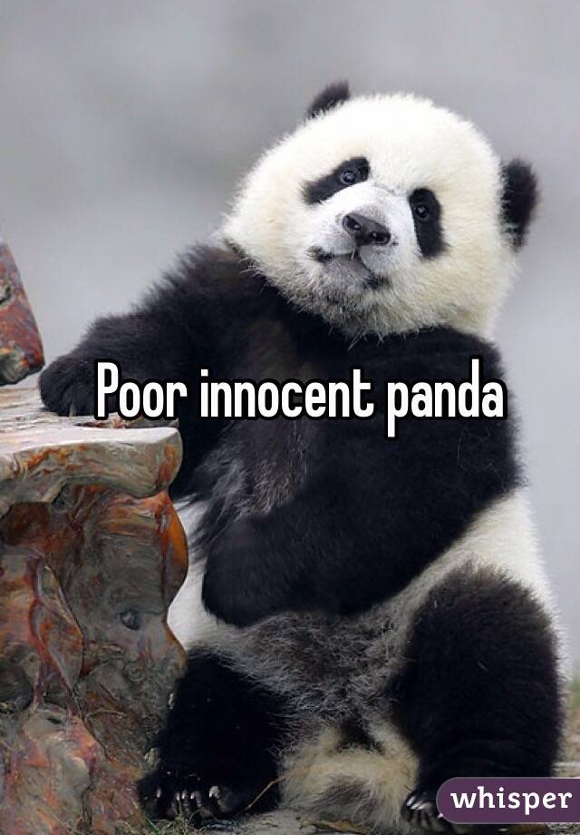 Poor innocent panda 