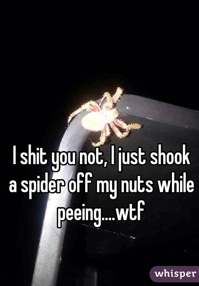 I shit you not, I just shook a spider off my nuts while peeing....wtf 