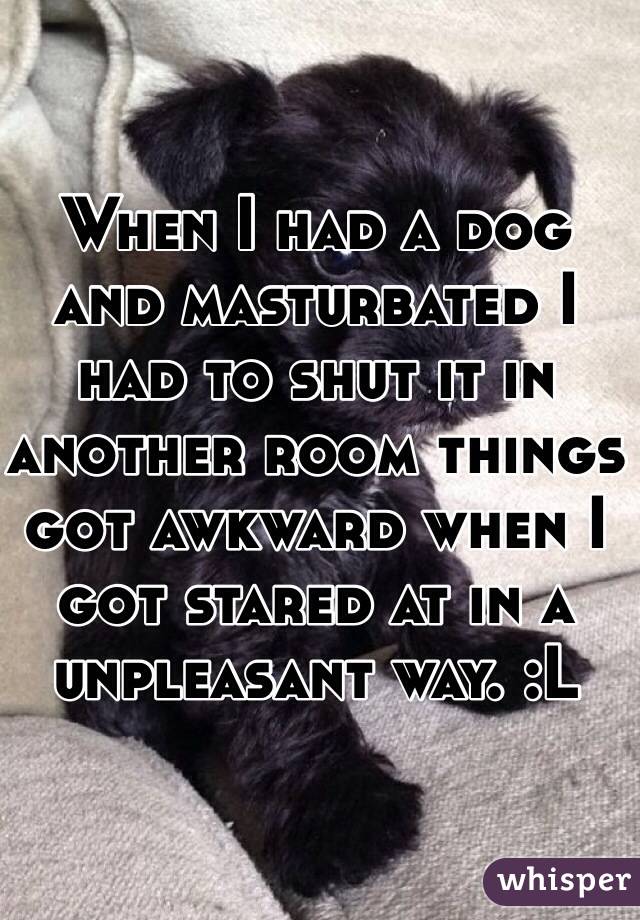 When I had a dog and masturbated I had to shut it in another room things got awkward when I got stared at in a unpleasant way. :L