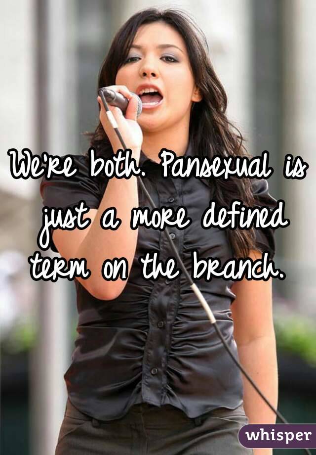 We're both. Pansexual is just a more defined term on the branch. 